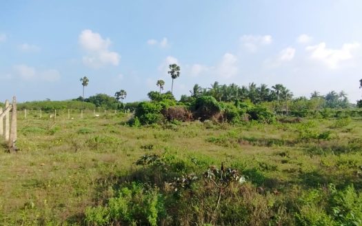 Land for sale in Keerimalai.