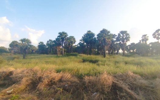 Land for sale in Kaithady