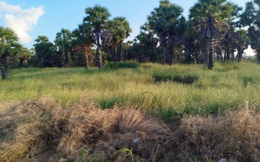 Land for sale in Kaithady