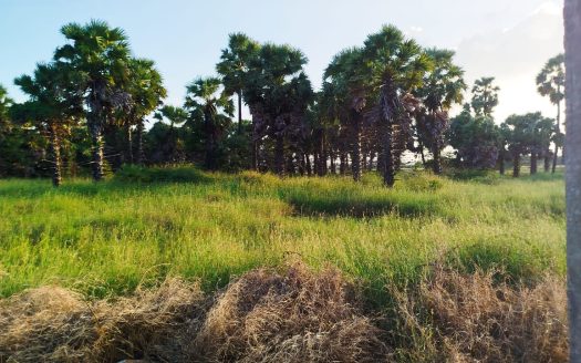 Land for sale in Kaithady