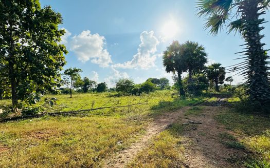 Land for sale in Puliyankulam A9 road