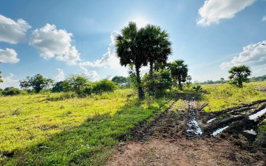 Land for sale in Puliyankulam A9 road
