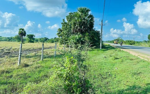 Land for sale in Puliyankulam A9 road