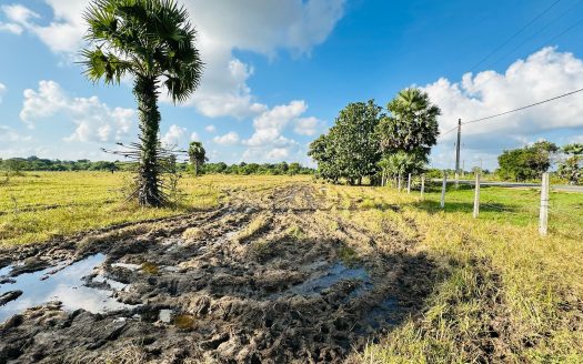 Land for sale in Puliyankulam A9 road
