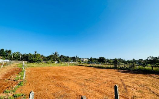 Land for sale in Thellipalai