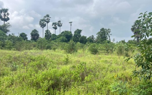 Land for sale in North Punnalaikattuvan.