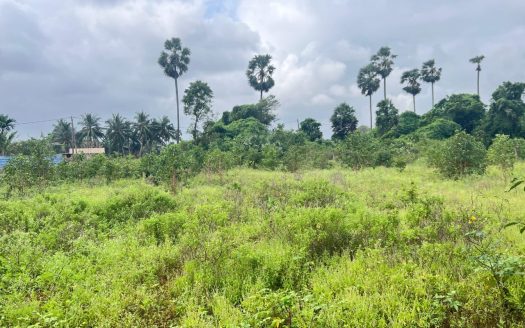 Land for sale in North Punnalaikattuvan.