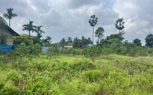 Land for sale in North Punnalaikattuvan.