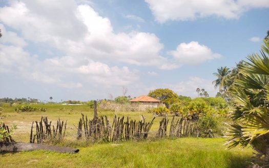Land for sale in Pungudutivu