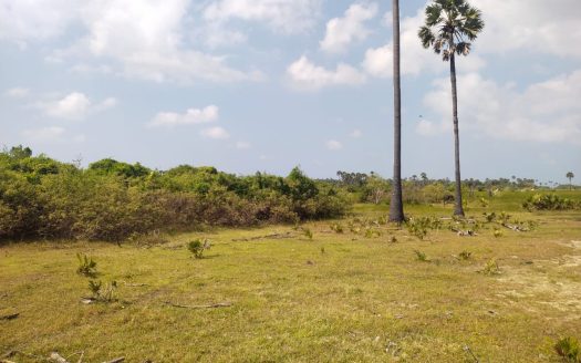 Land for sale in Pungudutivu