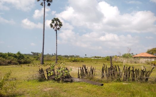 Land for sale in Pungudutivu