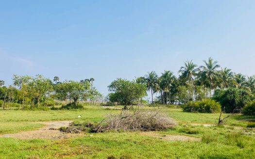 Beach side land with house for sale in velanai