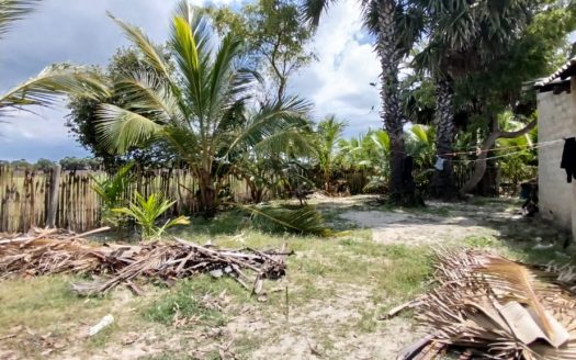 House for sale in Ariyalai