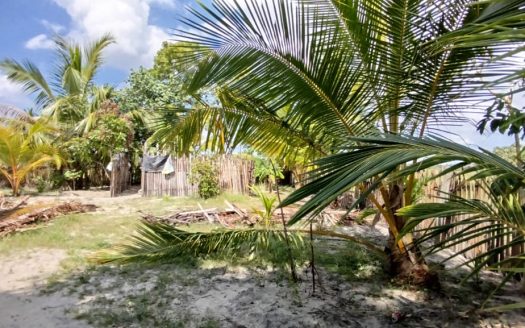 House for sale in Ariyalai