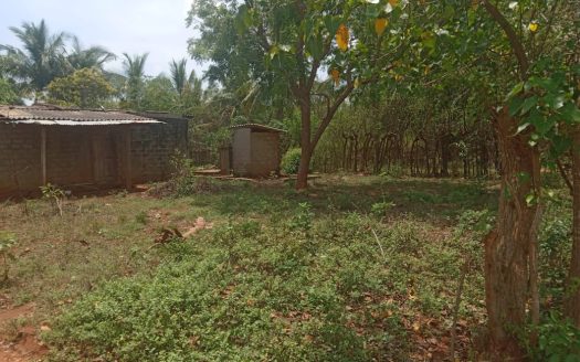 Land for sale in Achechlu North Neerveli