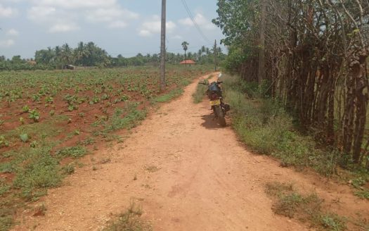Land for sale in Achechlu North Neerveli