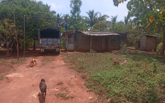 Land for sale in Achechlu North Neerveli