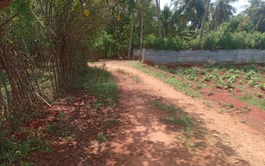 Land for sale in Achechlu North Neerveli
