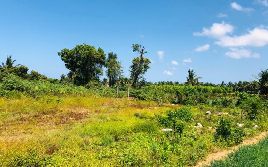 Land for sale in Achchuveli