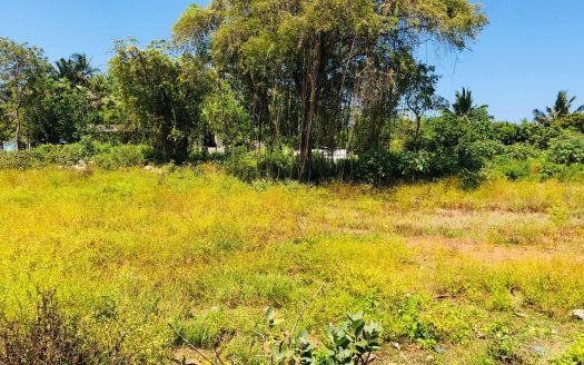 Land for sale in Achchuveli