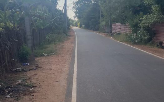 Land for sale in Pandatharippu