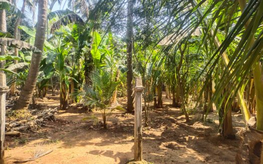 Land for sale in Inuvil