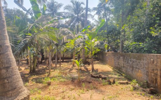 Land for sale in Inuvil