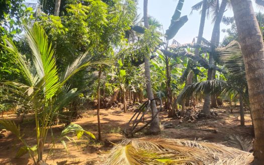 Land for sale in Inuvil