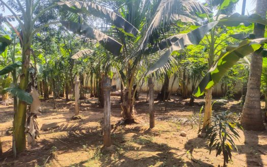Land for sale in Inuvil