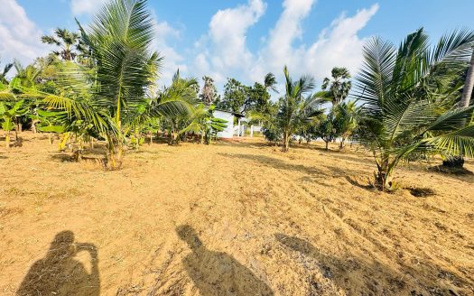Land for sale in Soranpatru Thalayadi