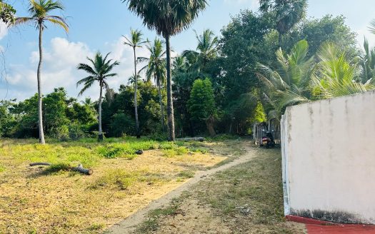 Land for sale in Soranpatru Thalayadi