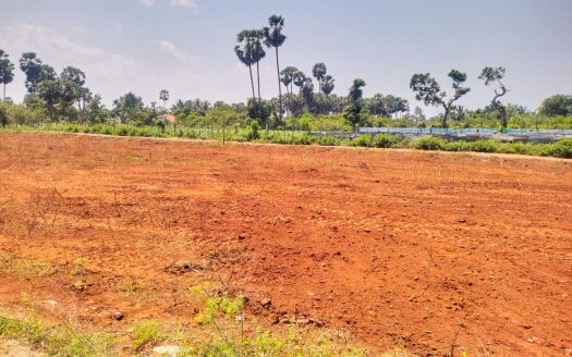 Land for sale in Punnalaikattuvan