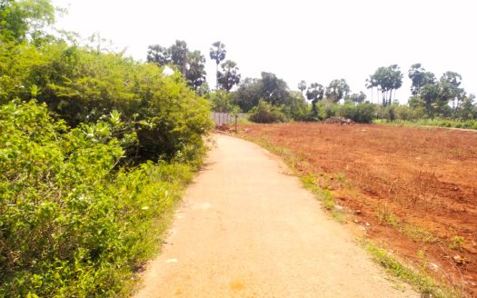 Land for sale in Punnalaikattuvan