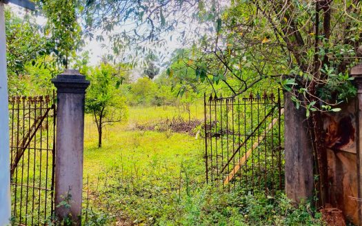 Land for sale near Urelu Pillayar Temple