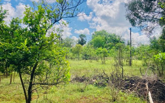 Land for sale near Urelu Pillayar Temple