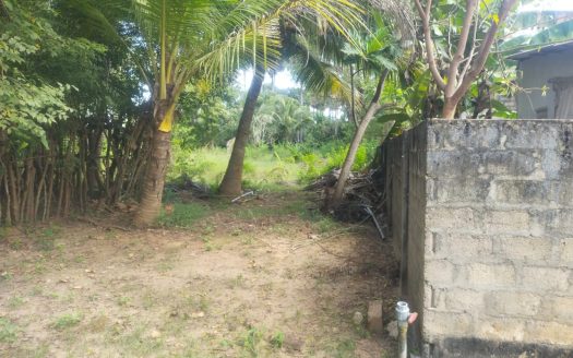 Land for sale in Udupitty