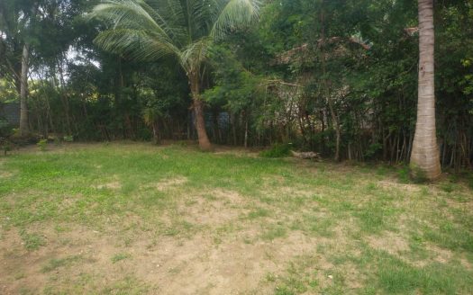Land for sale in Udupitty