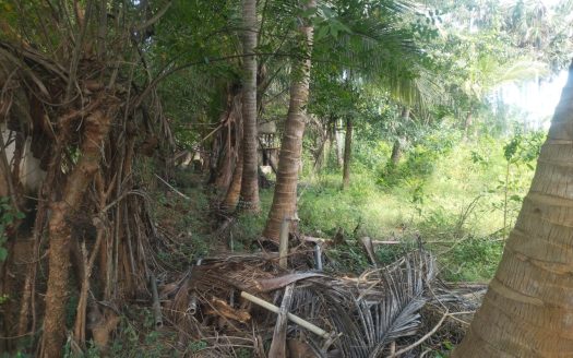 Land for sale in Udupitty