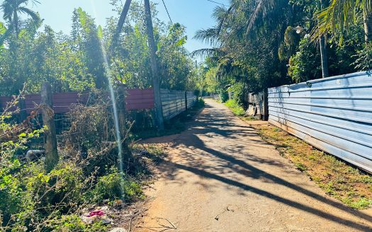 Land for sale in Tellipalai 👇