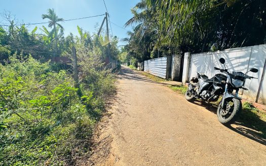 Land for sale in Tellipalai 👇