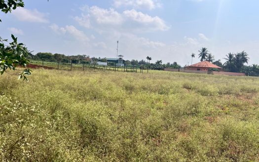 Land for sale in siruppiddy