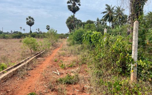 Land for sale in Kuttiyappulam Vasaavilan