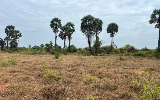 Land for sale in Kuttiyappulam Vasaavilan