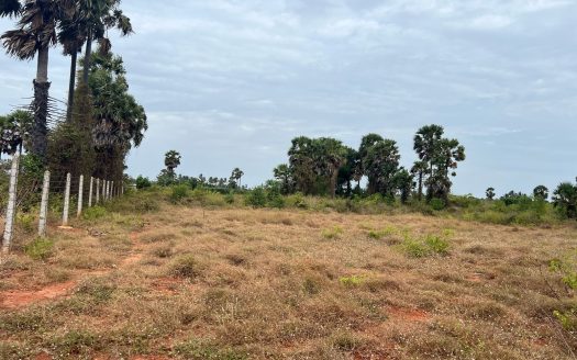 Land for sale in Kuttiyappulam Vasaavilan