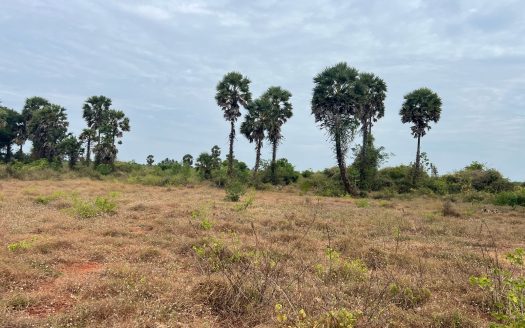 Land for sale in Kuttiyappulam Vasaavilan