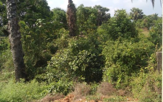 Road face land for sale in A32 Navatkuli Kerathivu Road