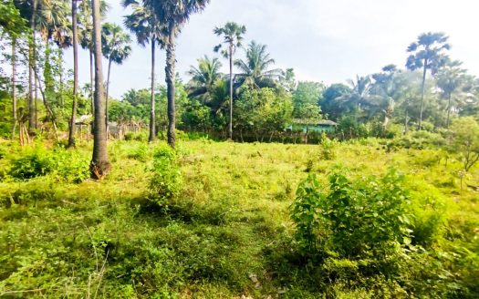 Land for sale in Kopay.