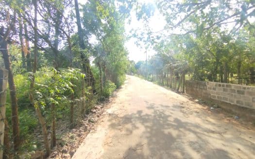 Land for sale in Kopay.