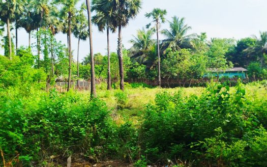 Land for sale in Kopay.