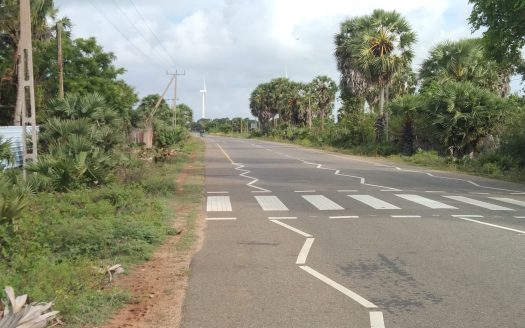 Land for sale in Thanankilappu.